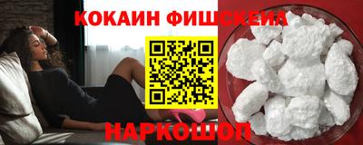 spice Гатчина