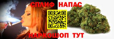 spice Гатчина