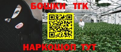 гашик Гагарин