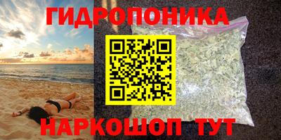 гашик Гагарин