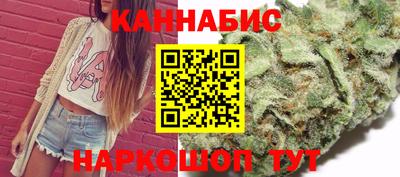 spice Гатчина