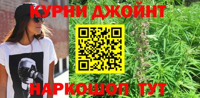spice Гатчина
