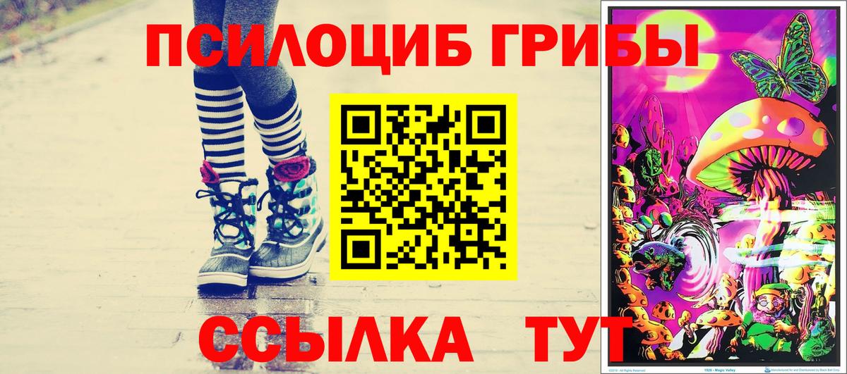 Галлюциногенные грибы прущие грибы Нововоронеж