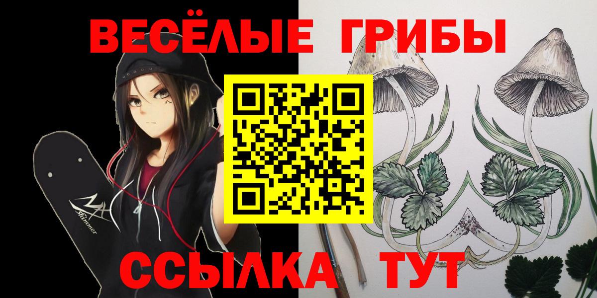Галлюциногенные грибы мухоморы  Вход с VPN  Нововоронеж 